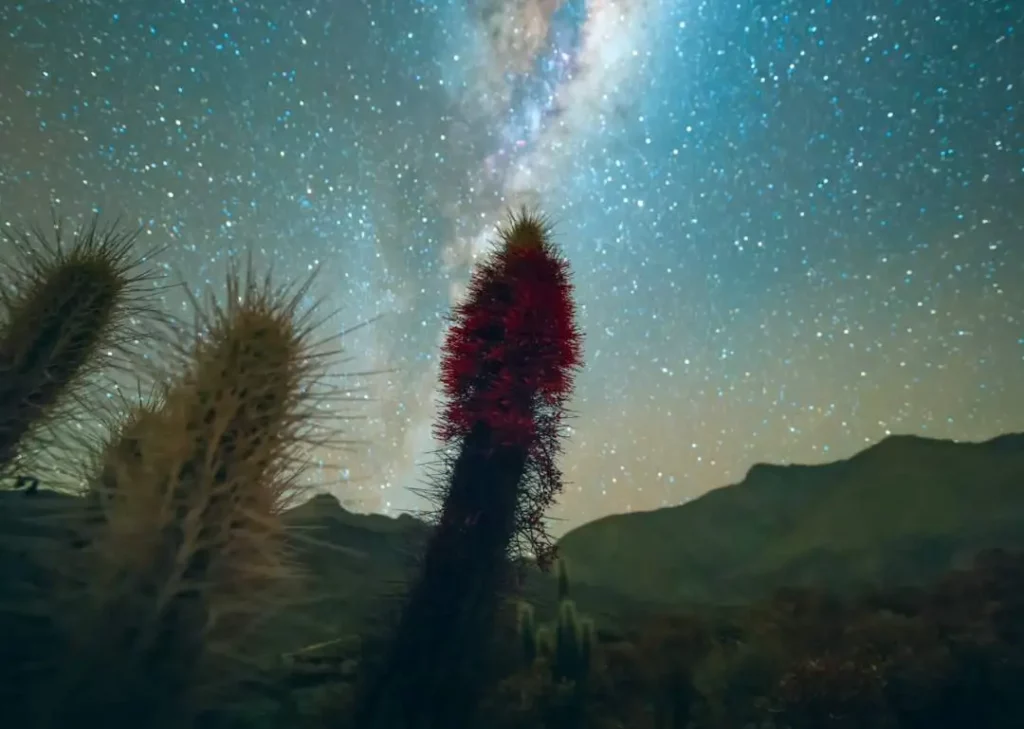 Stargazing in Chile