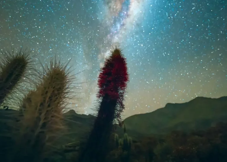 Stargazing in Chile: Where the Sky Unveils its Secrets